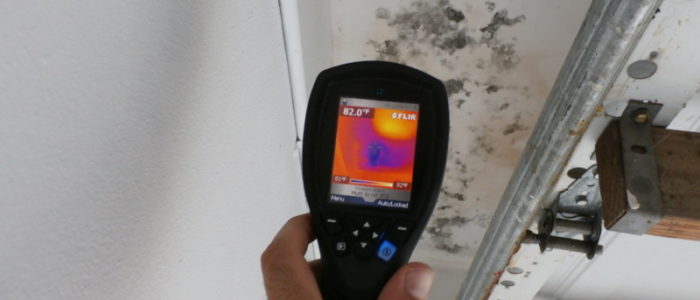 Get your place mold-free with a free inspection