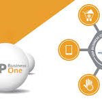  sap business one software